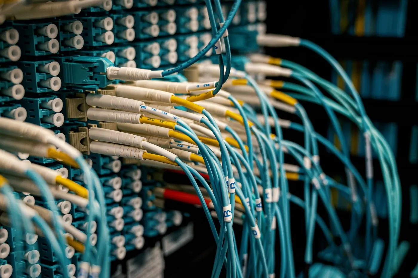Fiber connectors on a patch panel